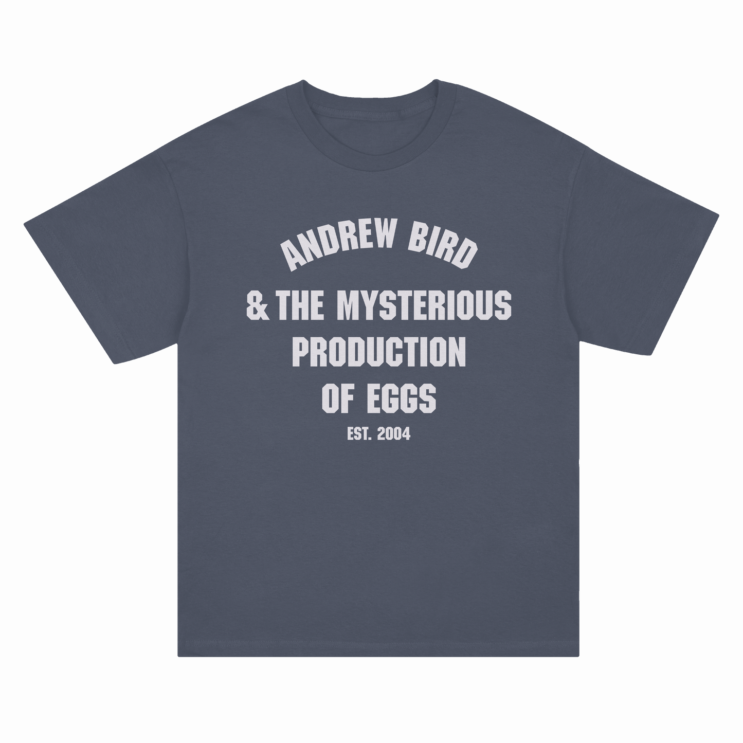 Andrew Bird & The Mysterious Production of Eggs T-shirt
