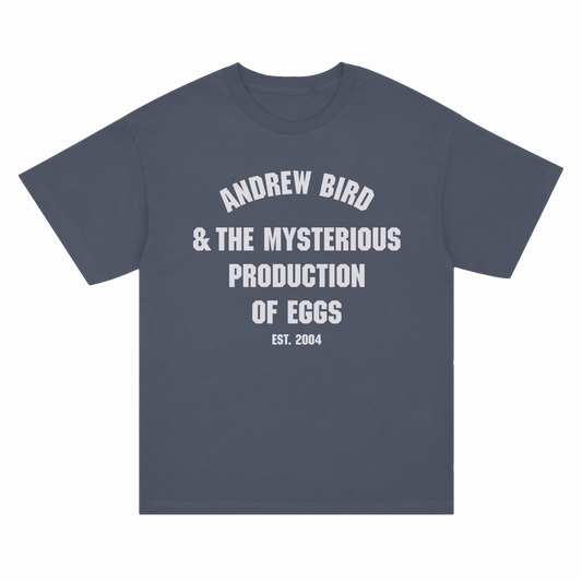 Andrew Bird & The Mysterious Production of Eggs T-shirt