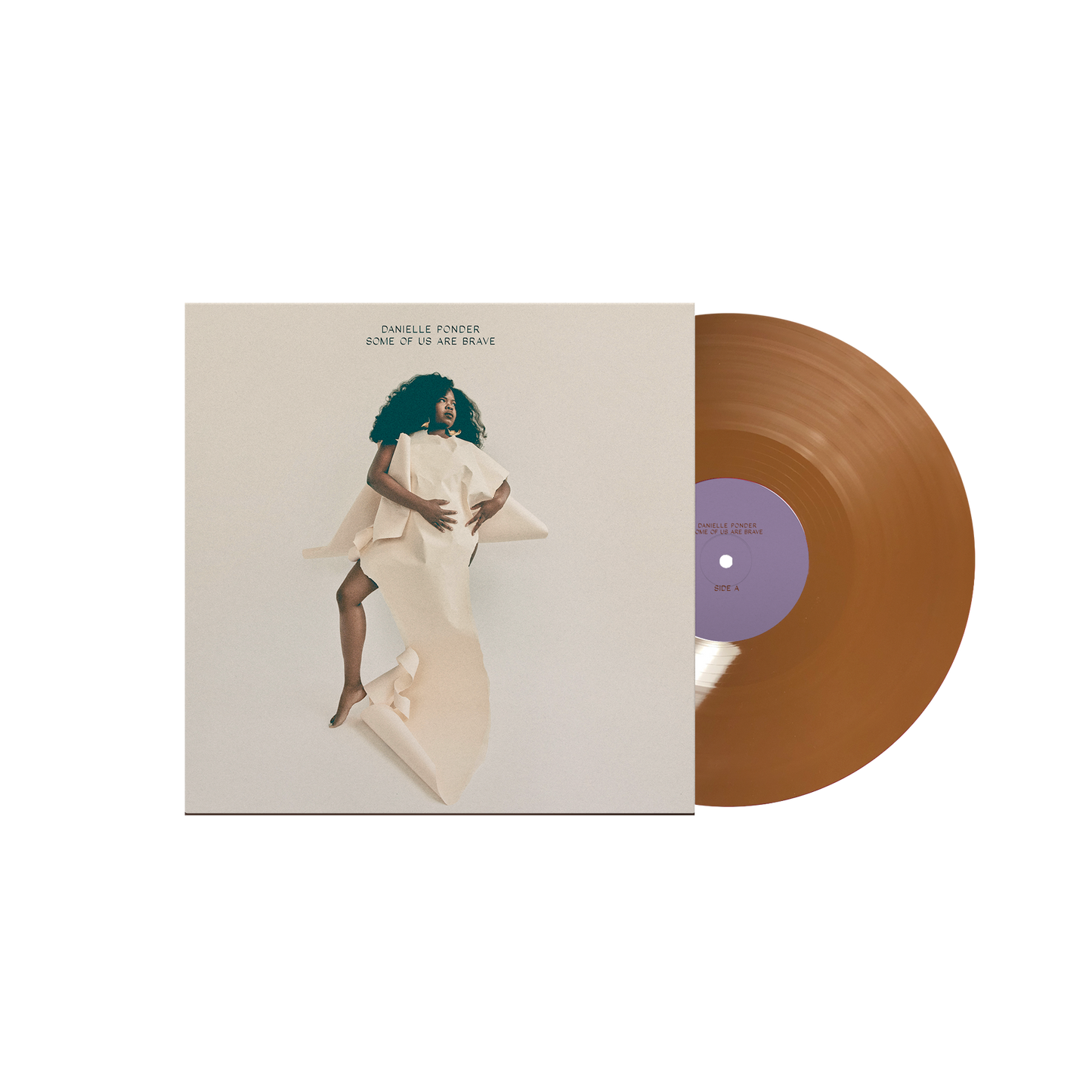 Danielle Ponder: Some Of Us Are Brave Vinyl LP