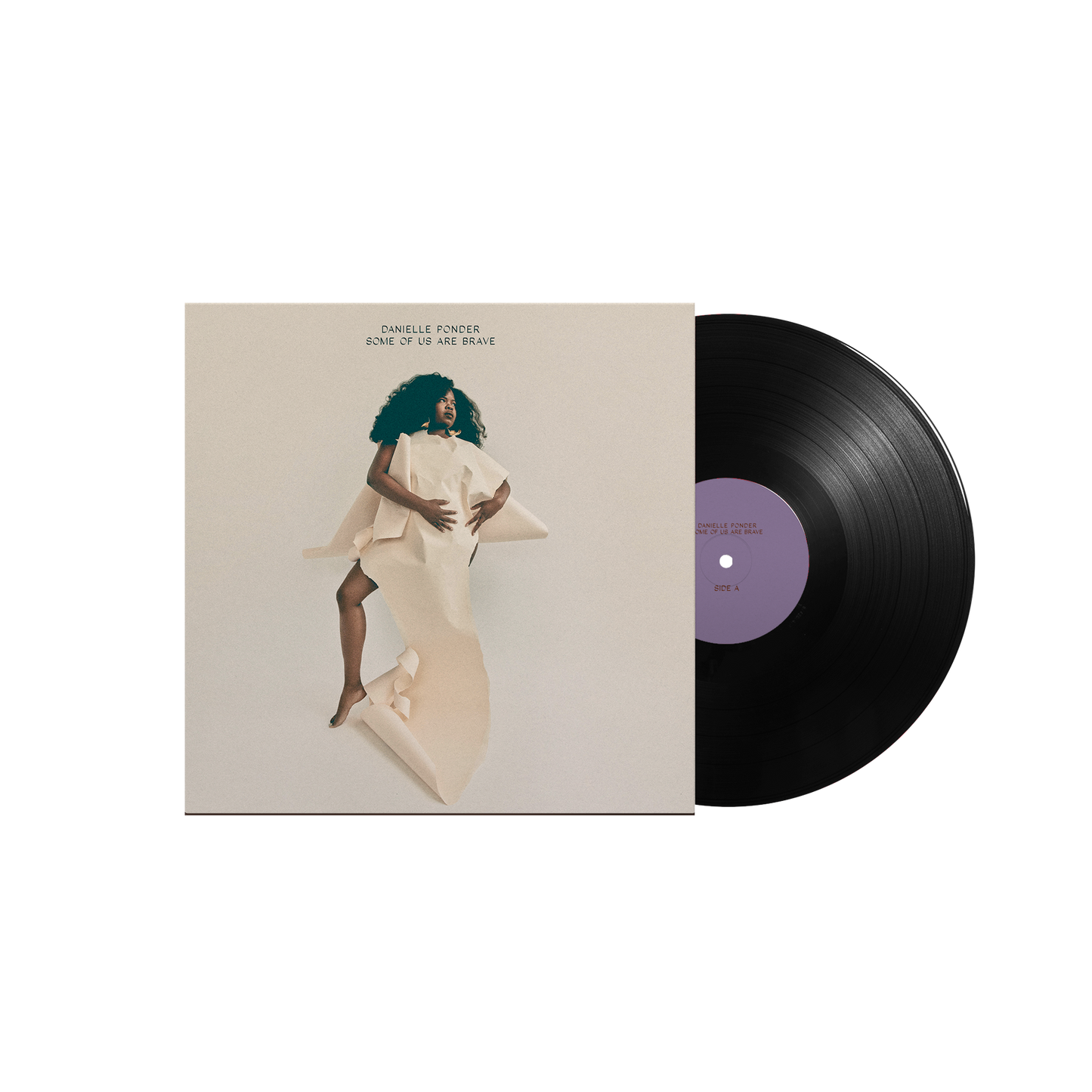 Danielle Ponder: Some Of Us Are Brave Vinyl LP
