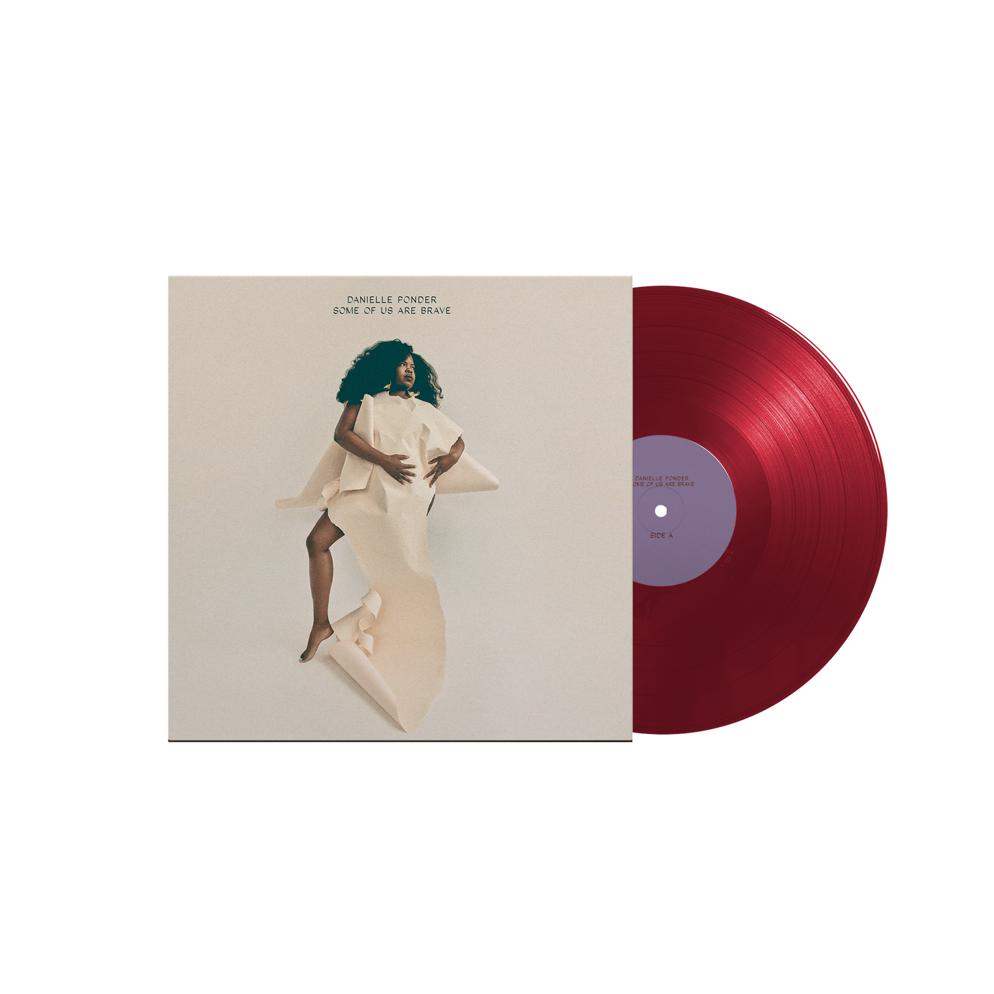 Danielle Ponder: Some Of Us Are Brave Vinyl LP