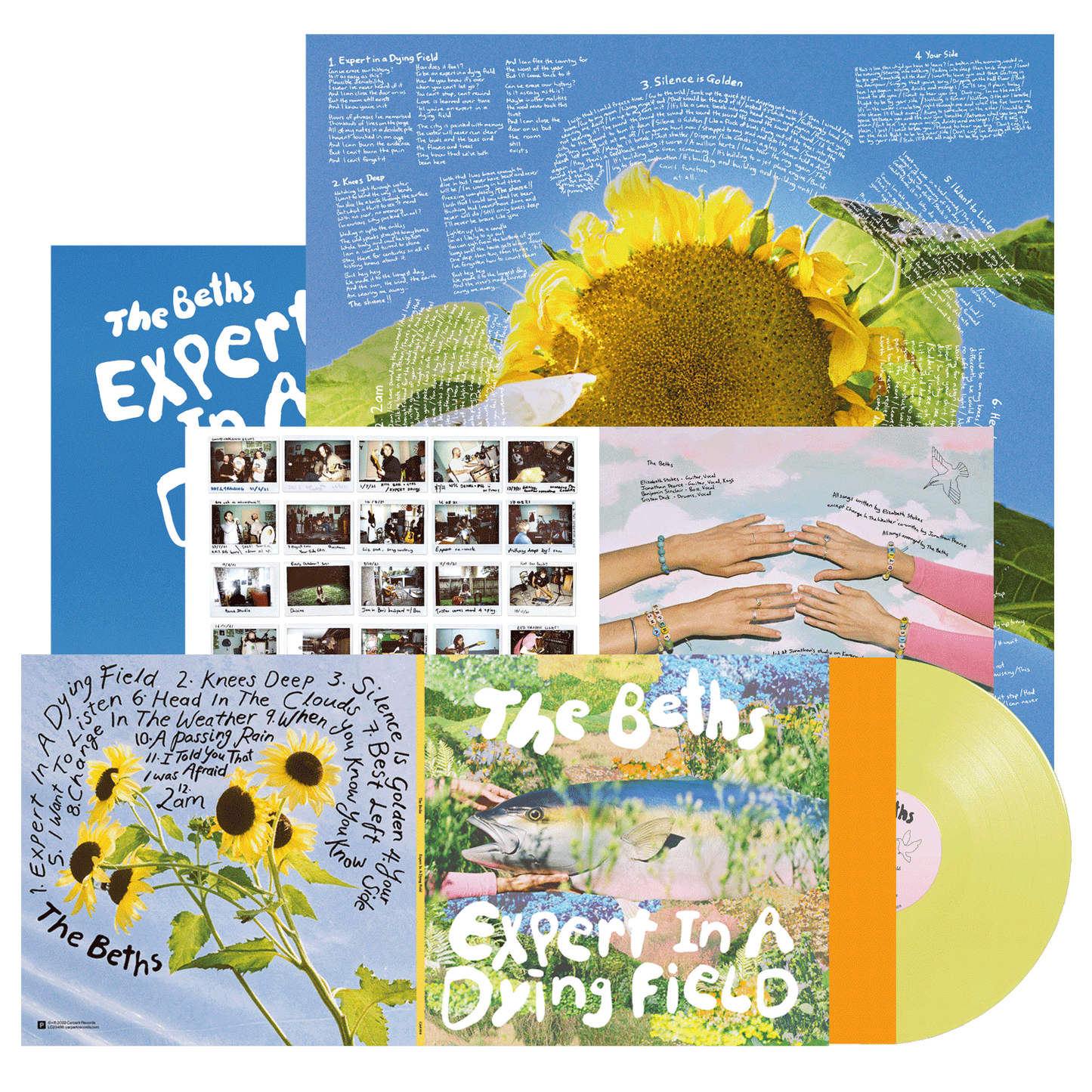 Expert In A Dying Field Vinyl LP