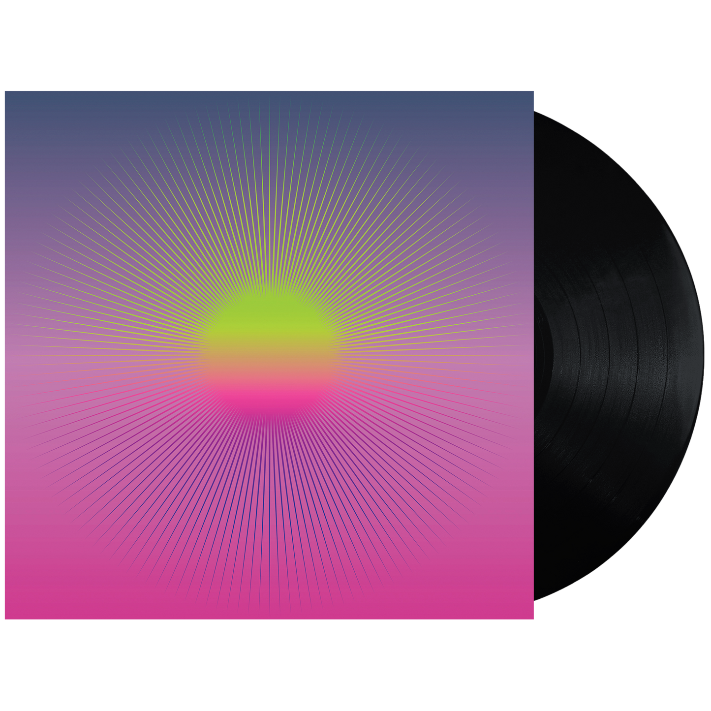 Birds Don't Fly Vinyl LP