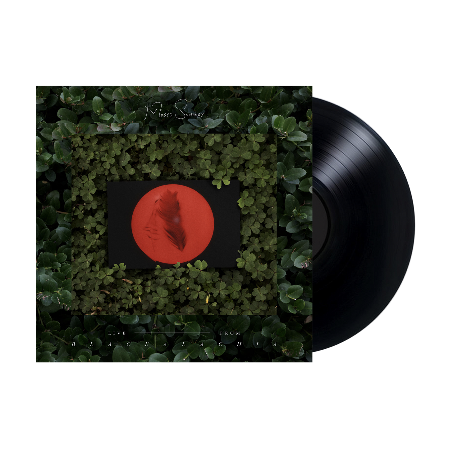 Live From Blackalachia Vinyl (Black)