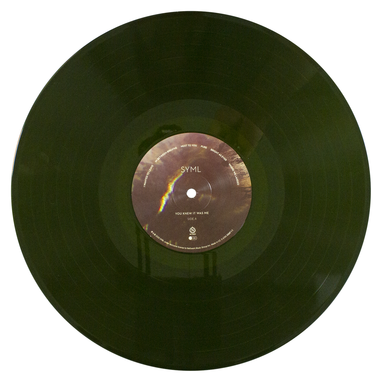 You Knew It Was Me Vinyl LP