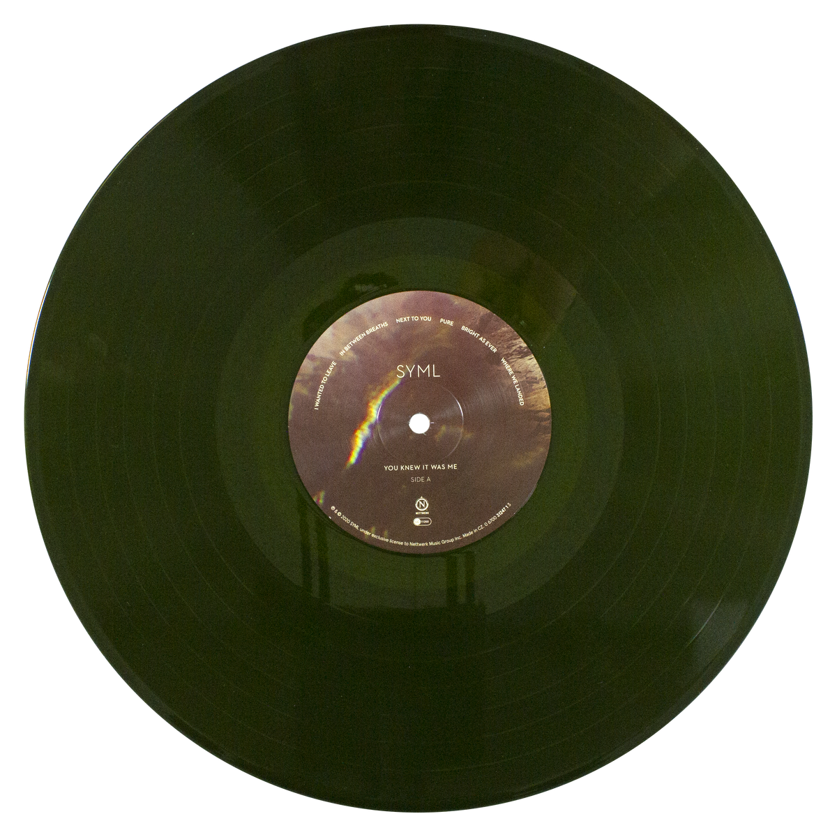 You Knew It Was Me Vinyl LP