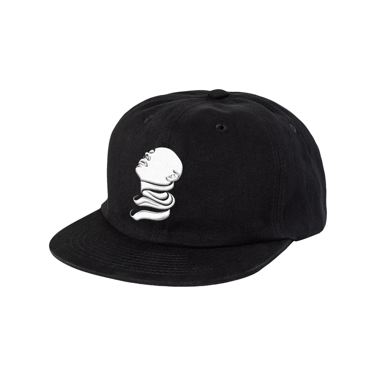 Visitor Snapback Hat