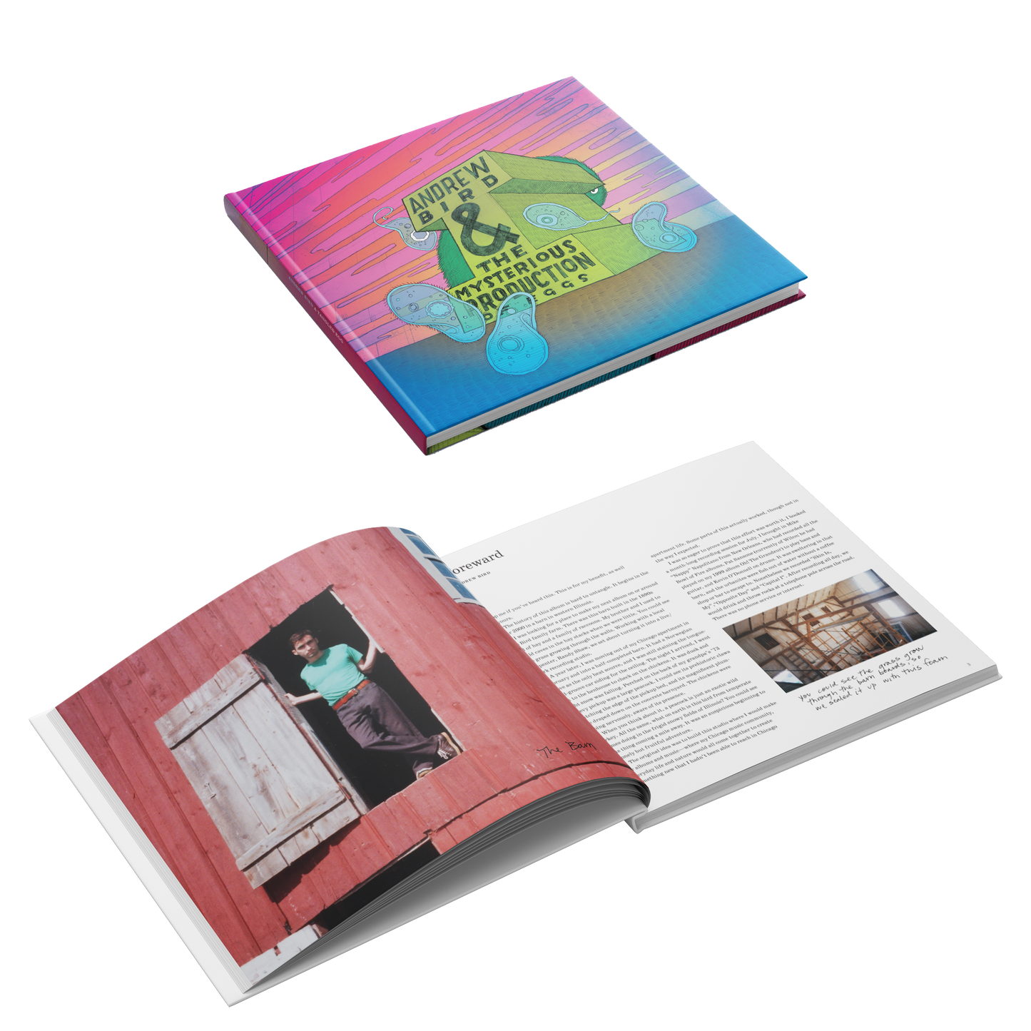 Andrew Bird & The Mysterious Production of Eggs Box Deluxe Box Set