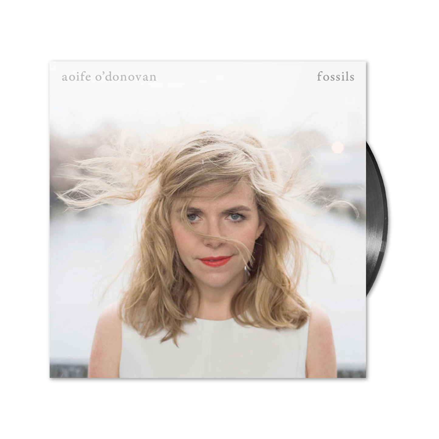Fossils Vinyl LP