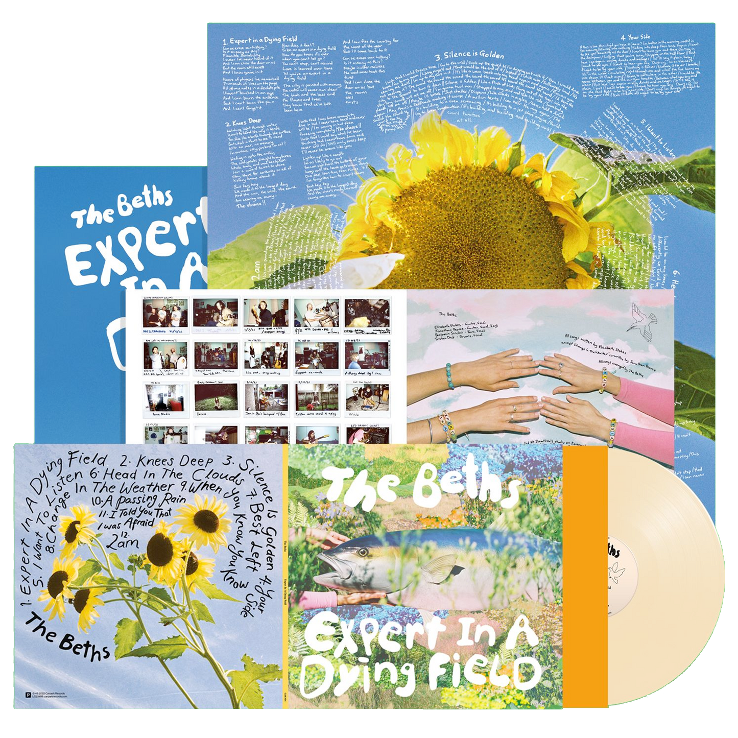 Expert In A Dying Field Vinyl LP