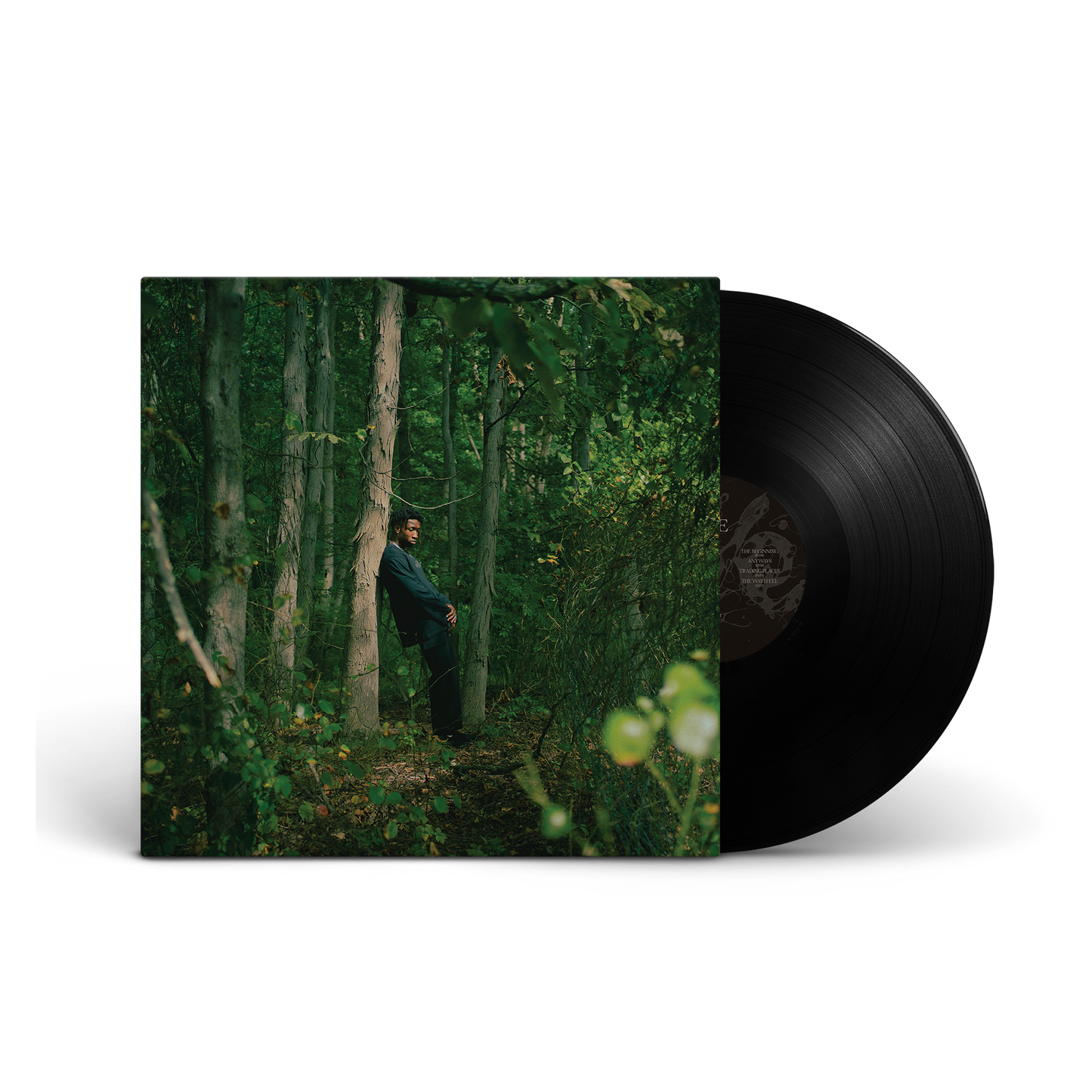Eve Vinyl LP