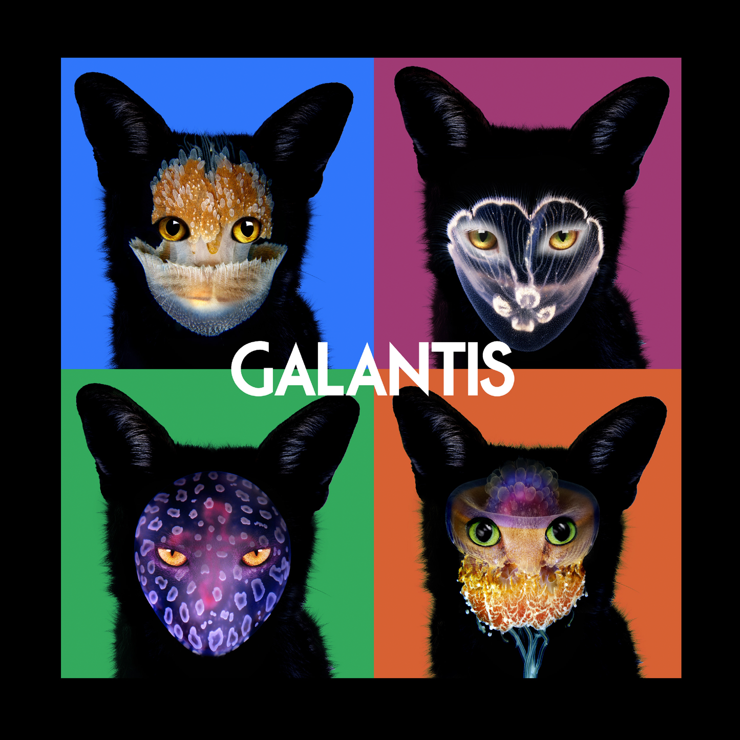 4x Seafox Tee