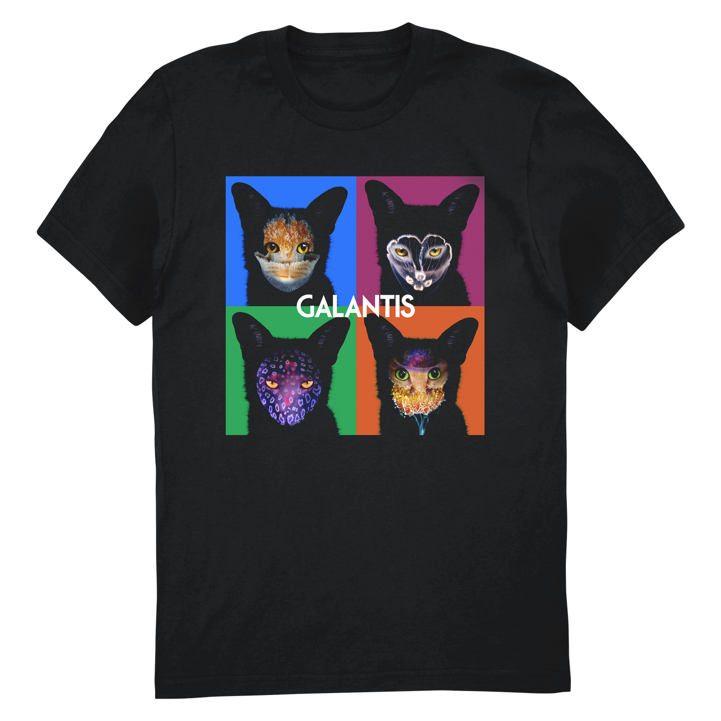 4x Seafox Tee