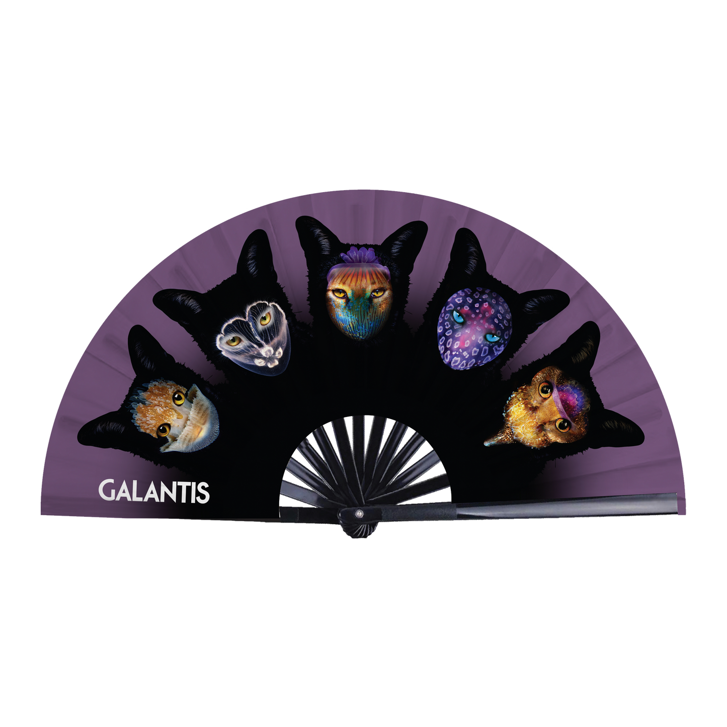 Seafox Double-Sided Fan