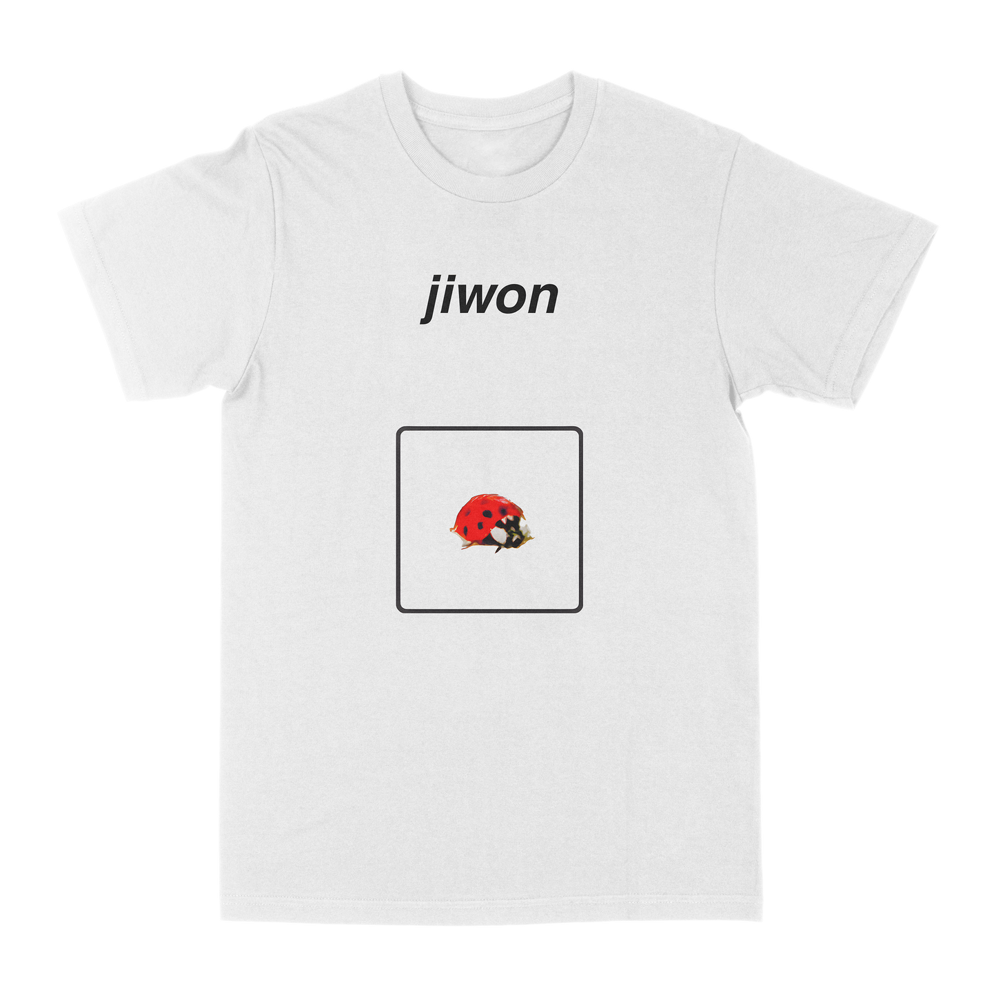 Ladybug Tee