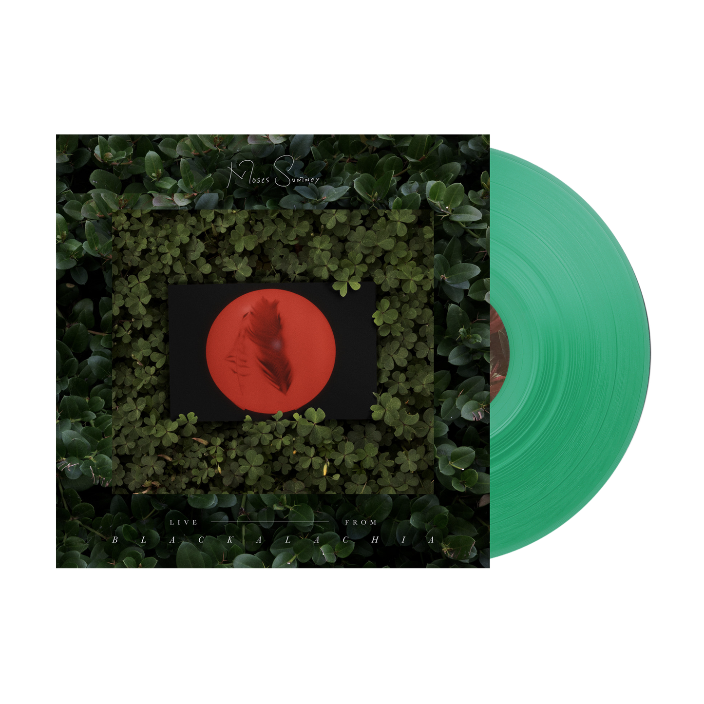 Live From Blackalachia Vinyl (Clear Green)