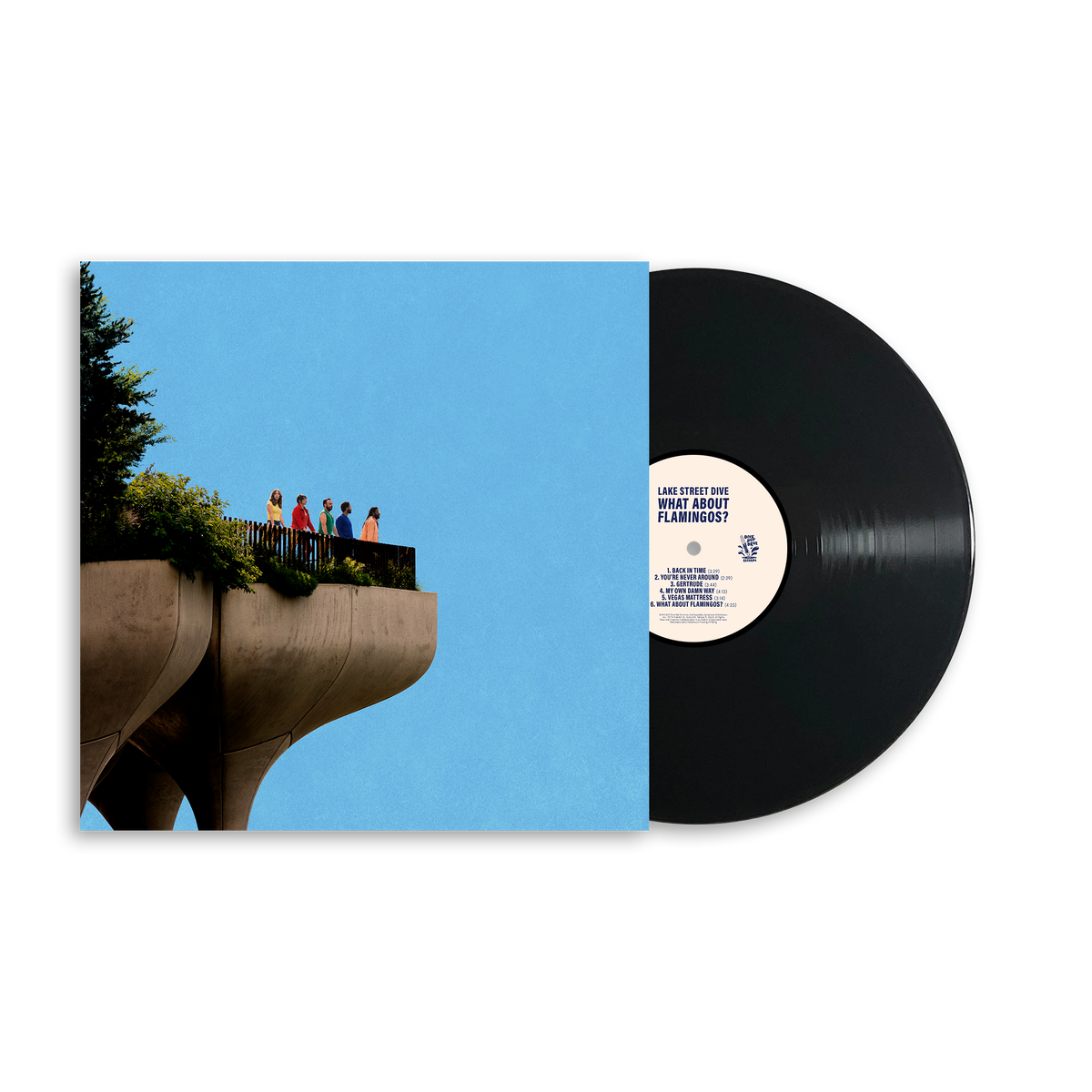 What About Flamingos? Vinyl - Black