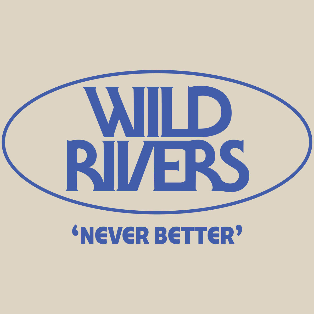 Never Better Hoodie - Natural