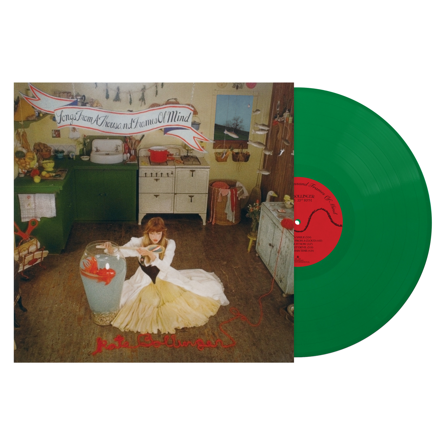 Songs From A Thousand Frames Of Mind Vinyl LP